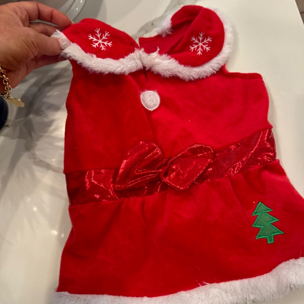 CHEWY DOG HOLIDAY COSTUME SIZE SMALL